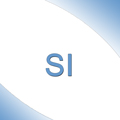 SI<BR>(Silikon)